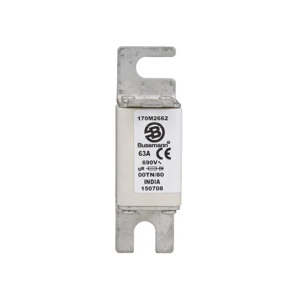 Bussmann / Eaton - 170M2668 - Specialty Fuses