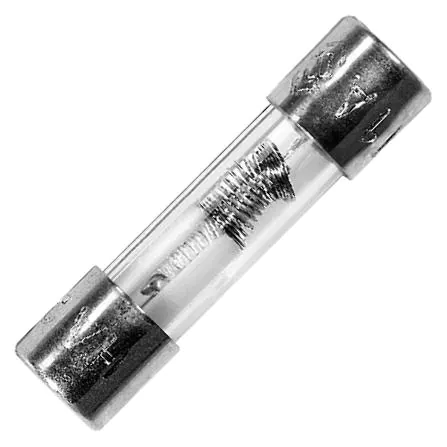 Schurter - 7030.3210 - Glass Fuse